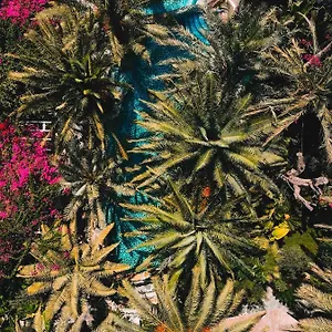 Hotel Flamingo & - Pet Friendly ***